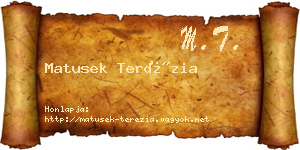 Matusek Terézia névjegykártya